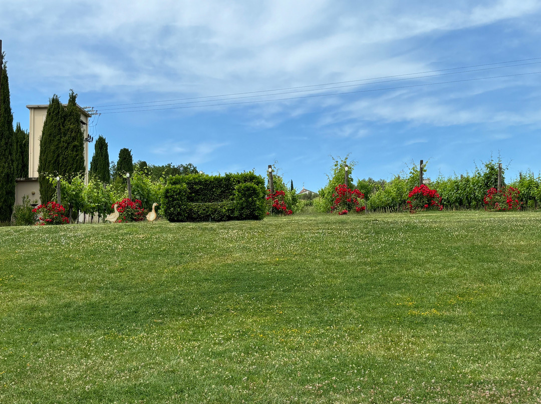 Azienda Agraria Guerrieri-Piagge必去景点