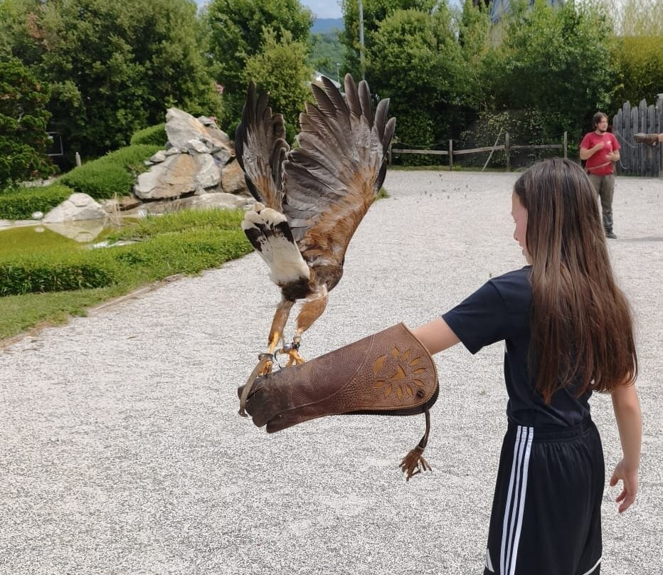 Parco Acrobati del Sole-Cividale del Friuli必去景点