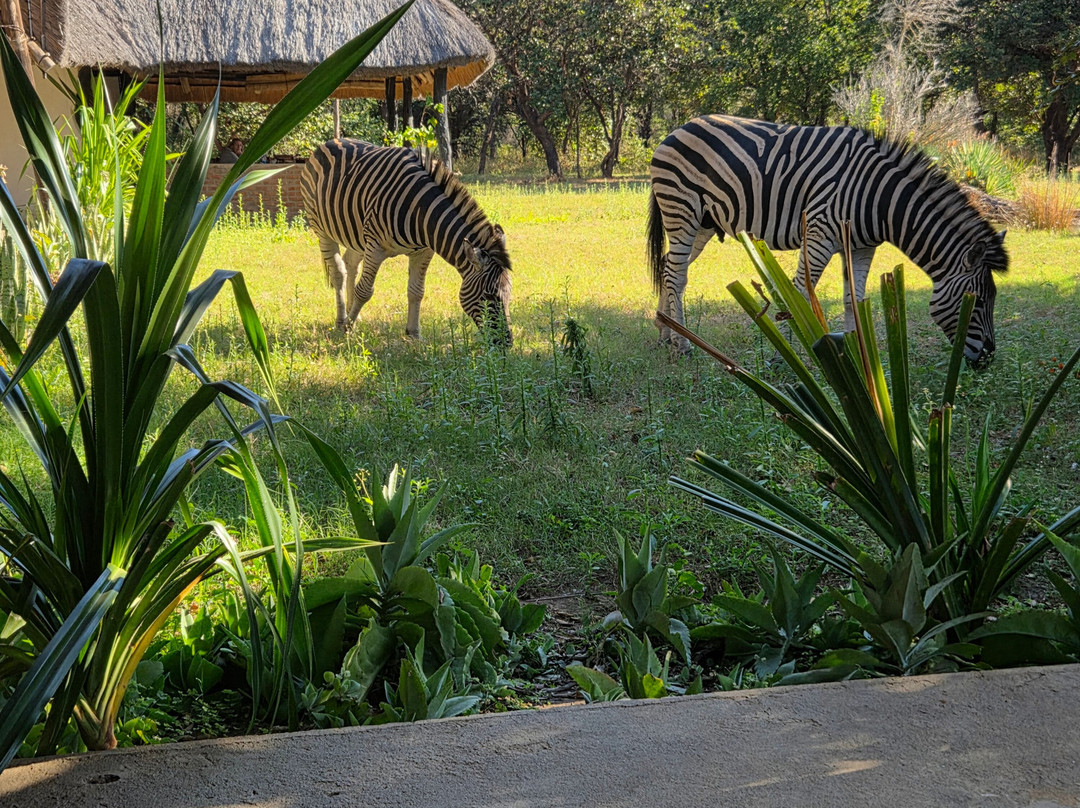 Kuti Wildlife Reserve-沙利马必去景点