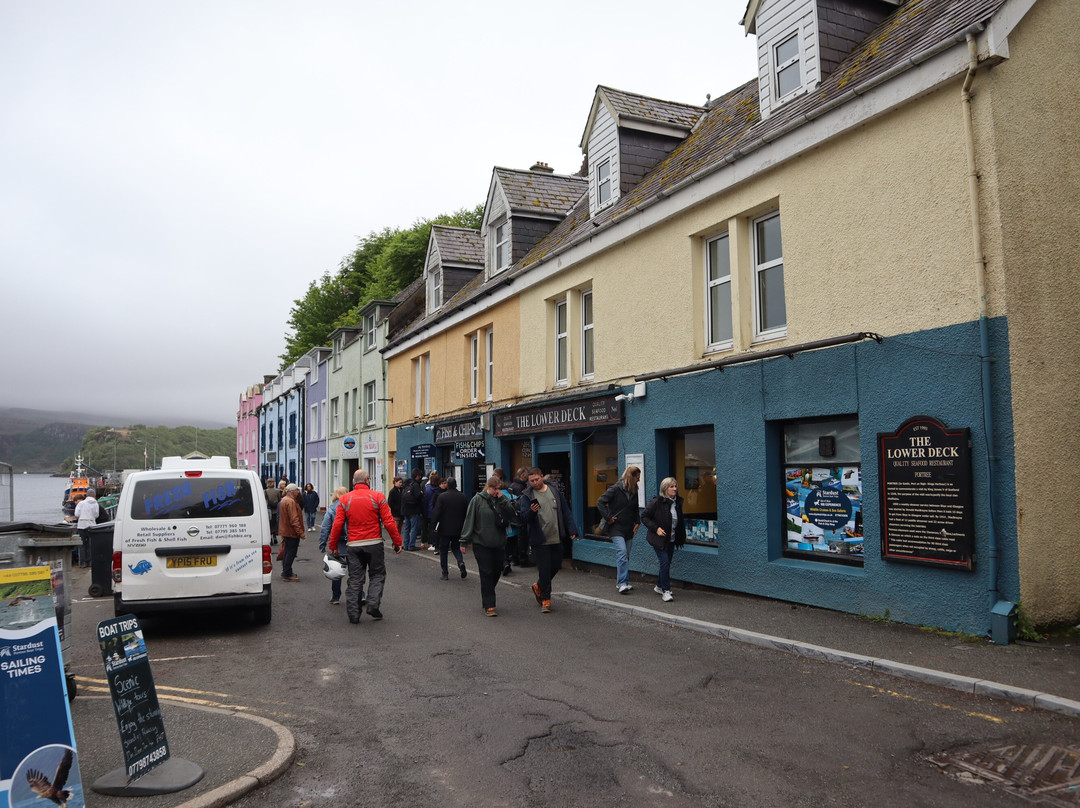 Portree Harbour-Portree必去景点