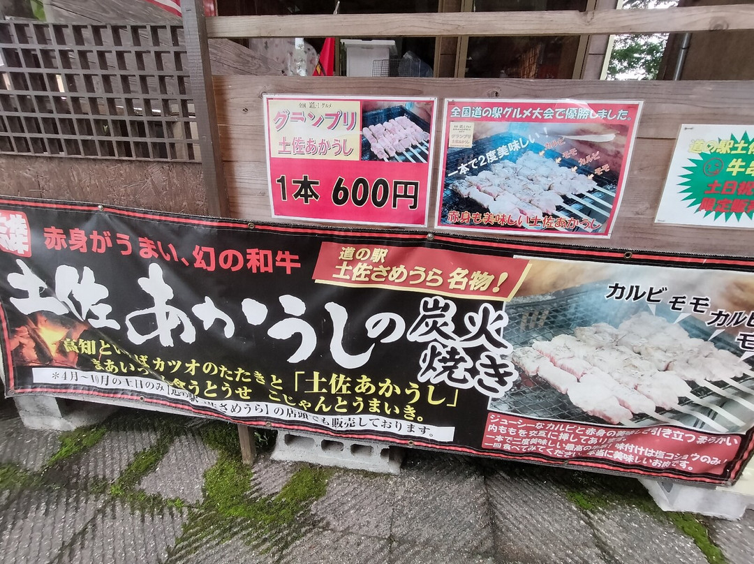 Tosa Sameura Michi-no-Eki-土佐町必去景点