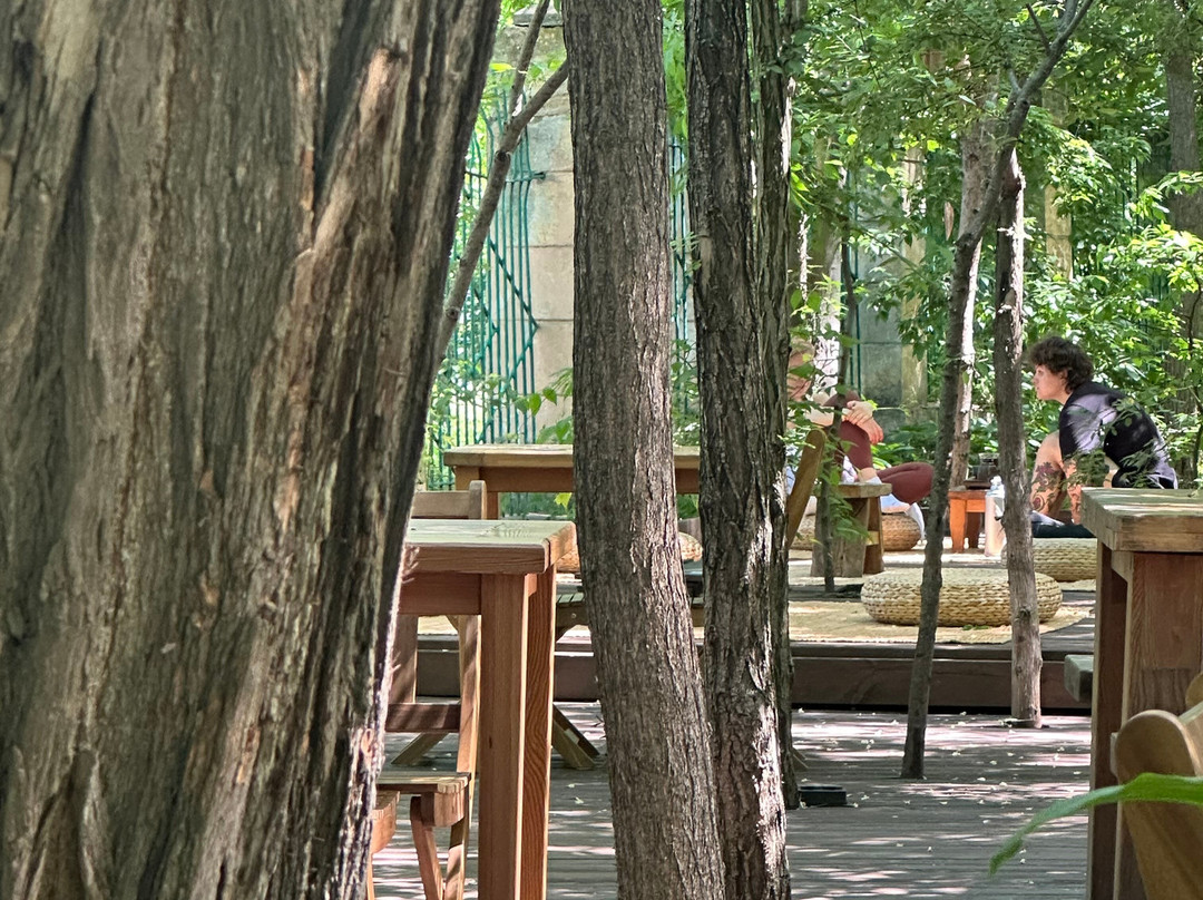 The Green Theater-敖德萨必去景点
