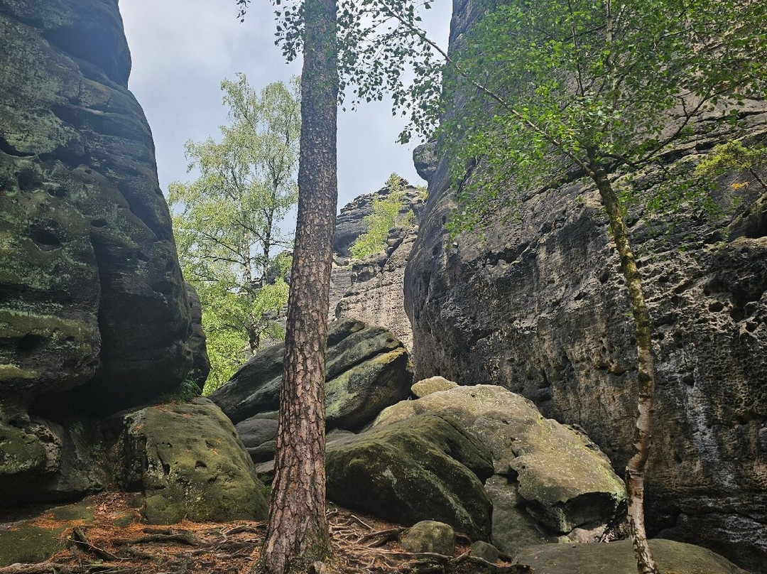Der Gohrisch (Gohrischstein)-Gohrisch必去景点