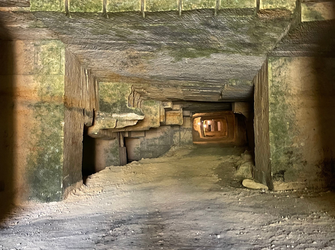 Château de Roques-Puisseguin必去景点