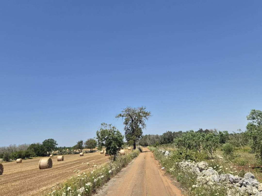 Salento Bici Tour-莱切必去景点