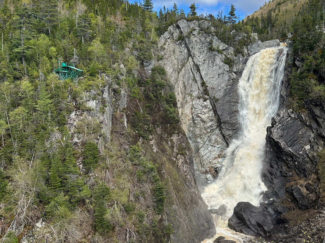 Marble Zip Tours-Steady Brook必去景点