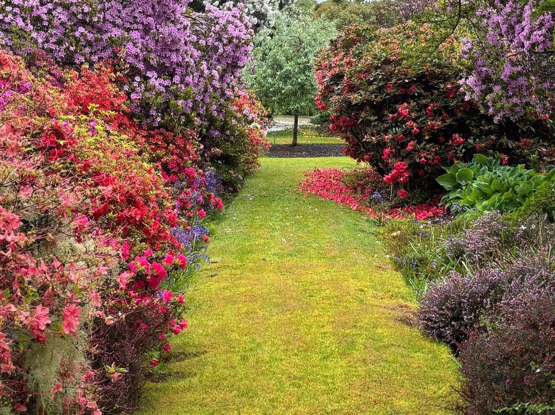 Best Scottish Tours-达农必去景点