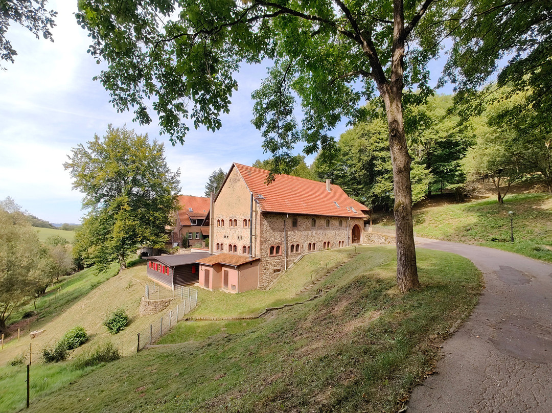Moerlenbach餐馆和美食-Lindenhof