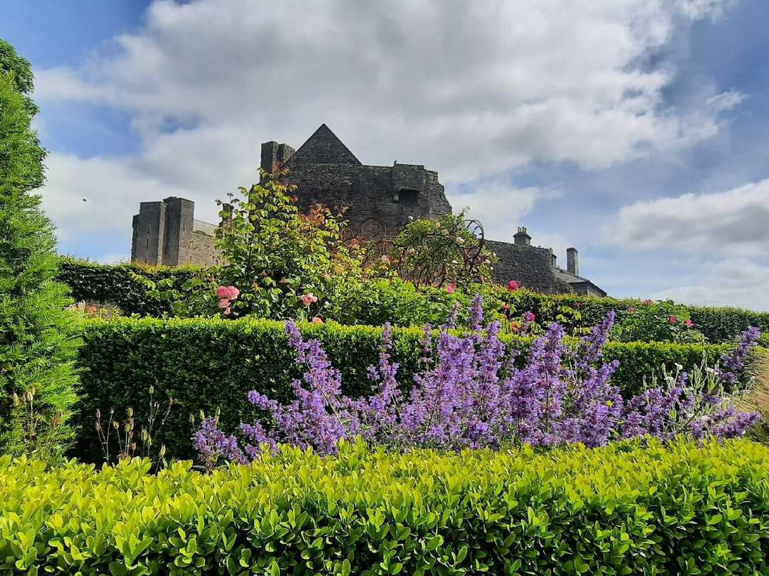 Roscrea Castle-Roscrea必去景点