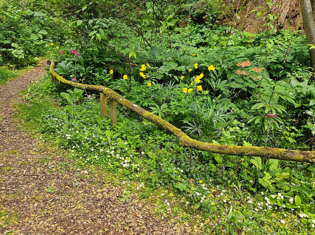 Cluny House Gardens-Aberfeldy必去景点