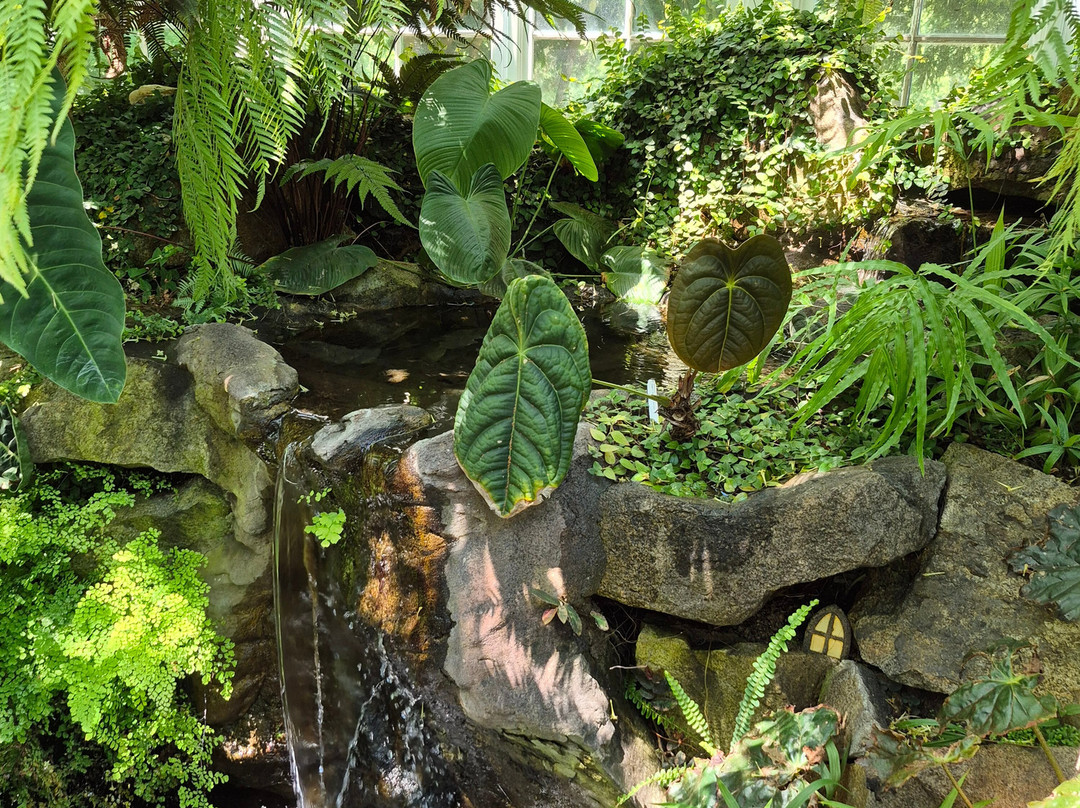 W.W. Seymour Botanical Conservatory-塔科马必去景点