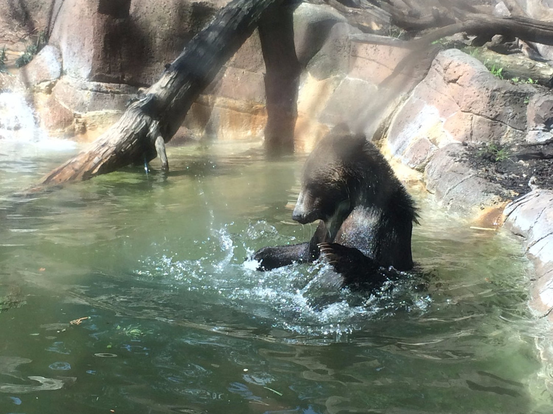 Indianapolis Zoo-印第安纳波利斯必去景点