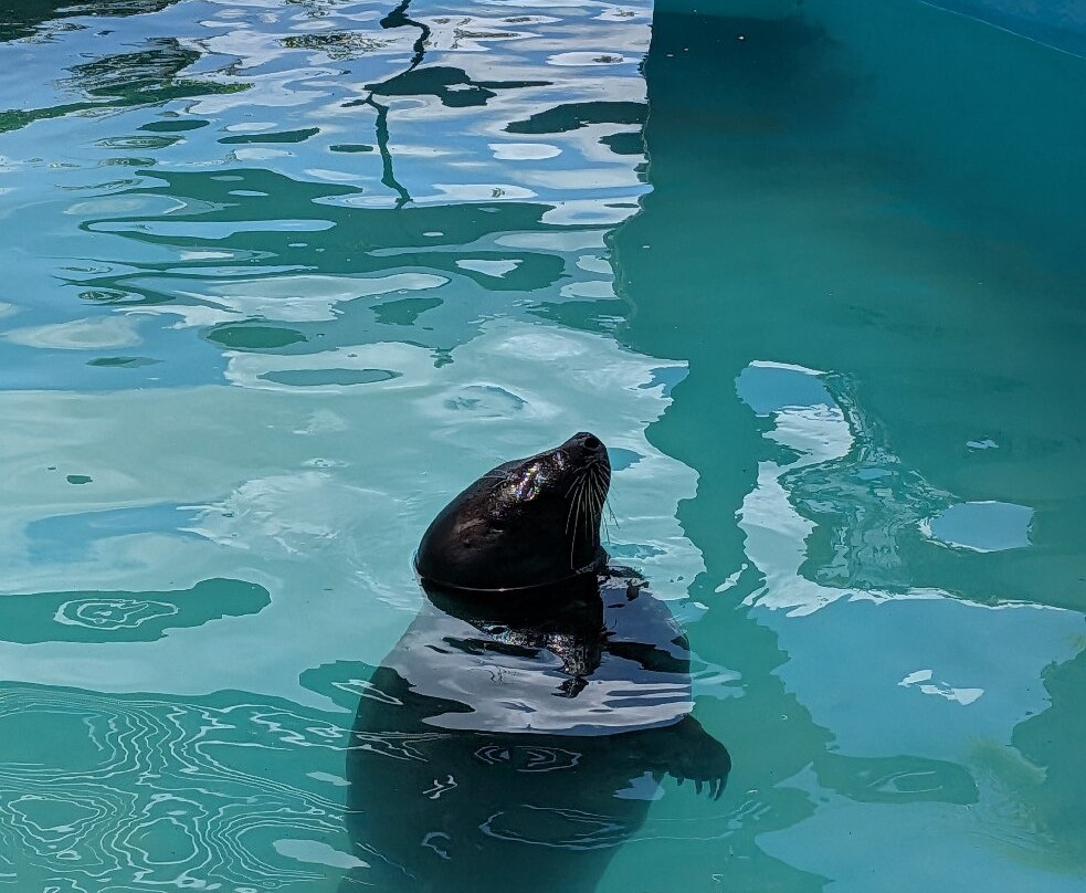 Bermuda Aquarium, Museum & Zoo-Hamilton Parish必去景点
