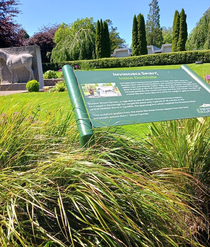 Irish National Stud & Gardens-Tully必去景点