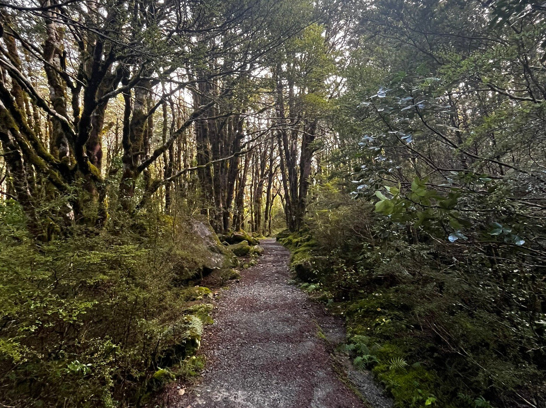 Arthur's Pass National Park Visitor Centre-亚瑟隘口国家公园必去景点