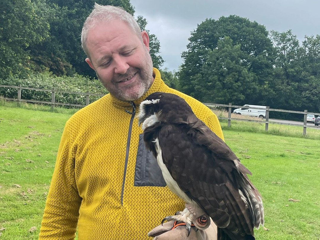 Surrey Hills Falconry-Ockley必去景点