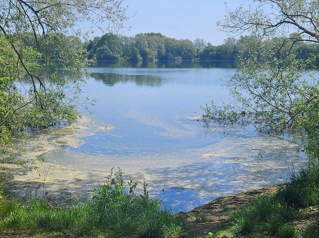 Ducklington Lake-威特尼必去景点