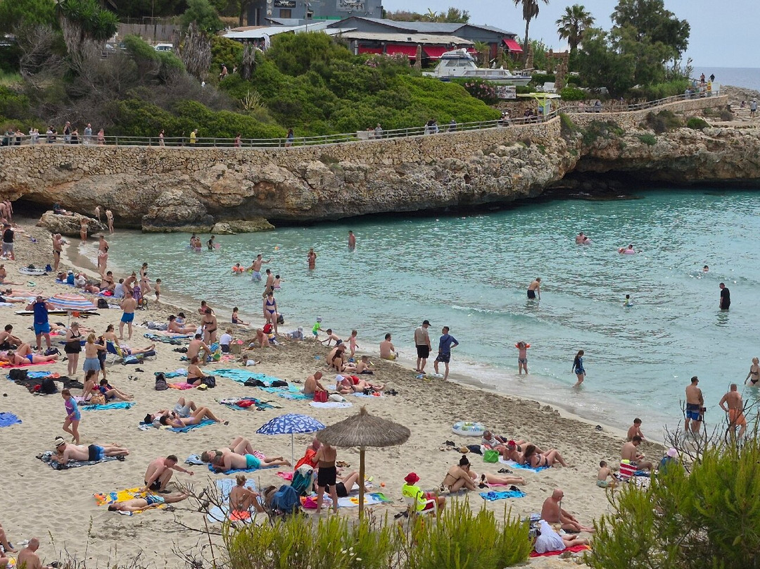 Club Cala Domingos主图
