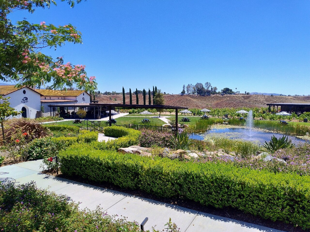 Truffle Pig Winery & Vineyards-特曼库拉必去景点
