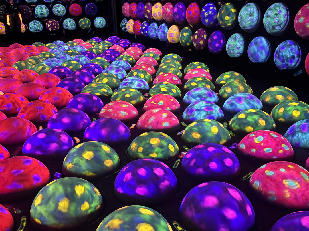 teamLab Planets TOKYO-Toyosu必去景点