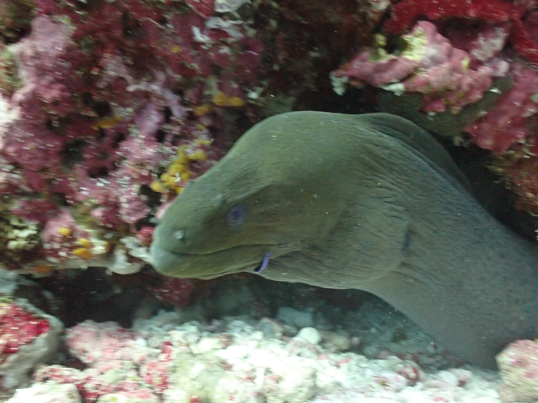 Acqua Adventures Rasdhoo-拉斯胡必去景点