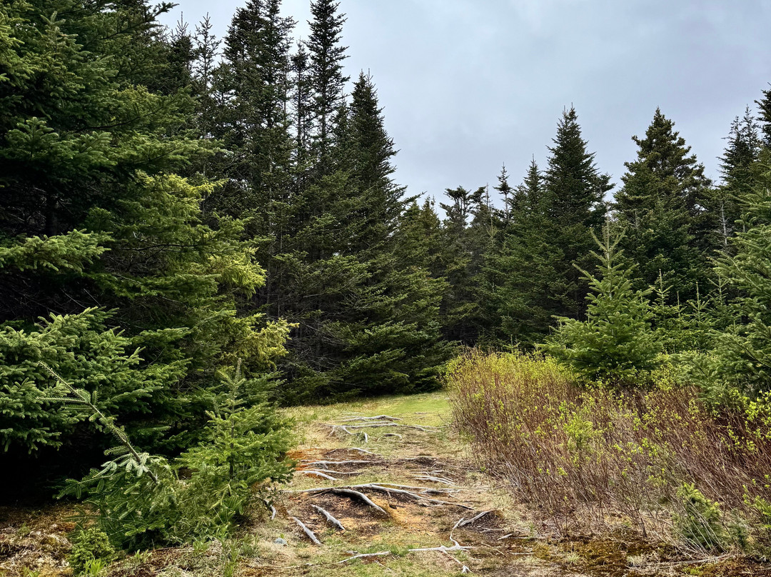 King’s Cove Lighthouse-Bonavista必去景点