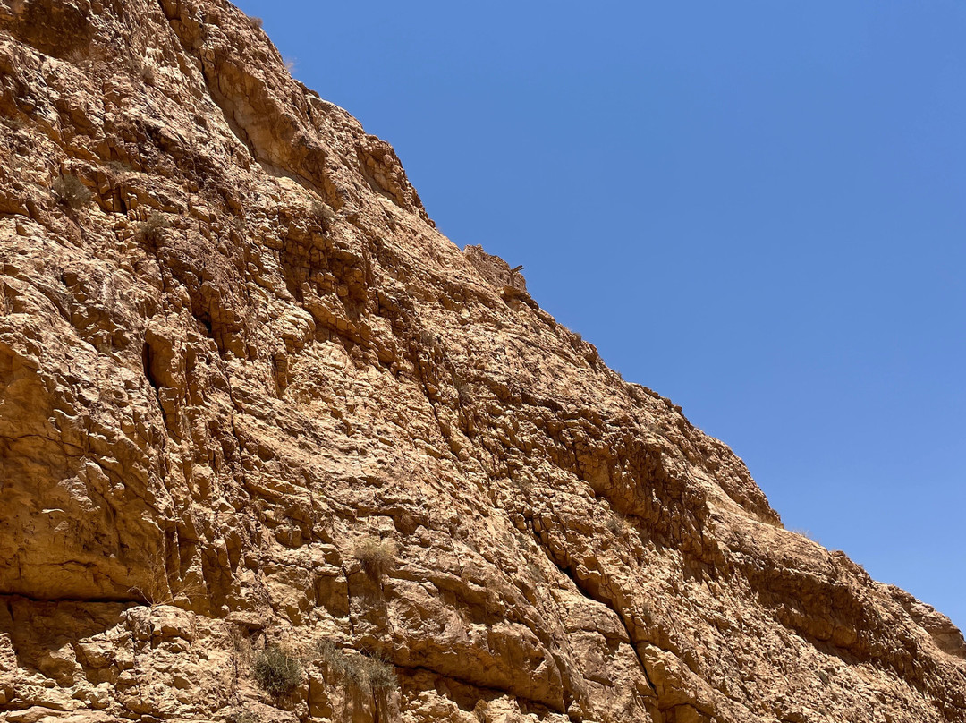 Mides Valley-Tozeur Governorate必去景点