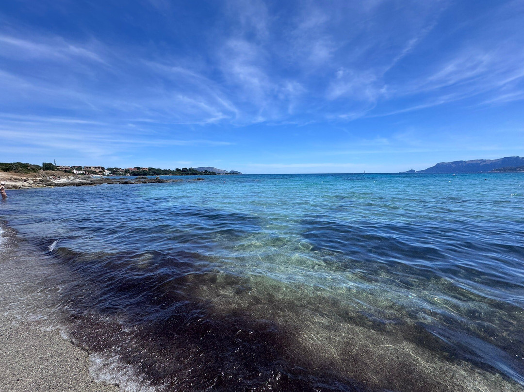 Spiaggia Pittulongu - La Playa-奥尔比亚必去景点