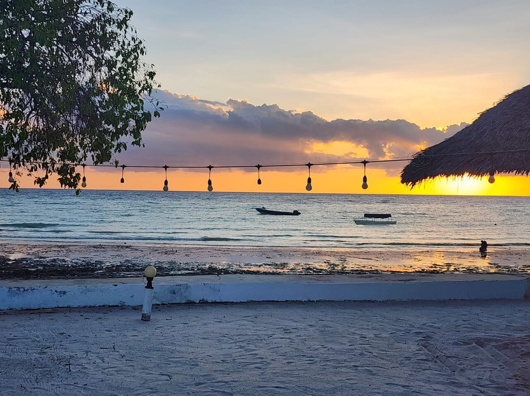 Pemba Dive Center