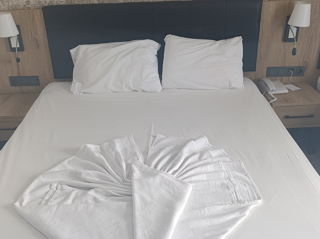 大鸟巢Prestige SPA主图
