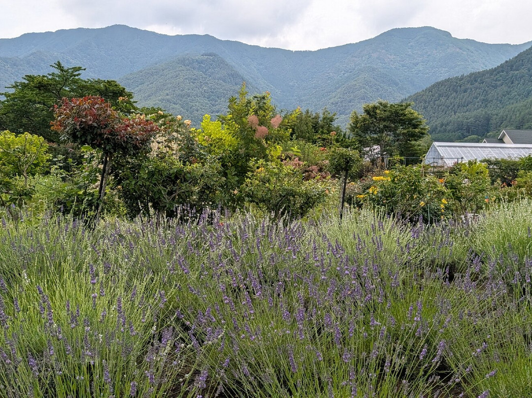 大石公园-富士河口湖町必去景点