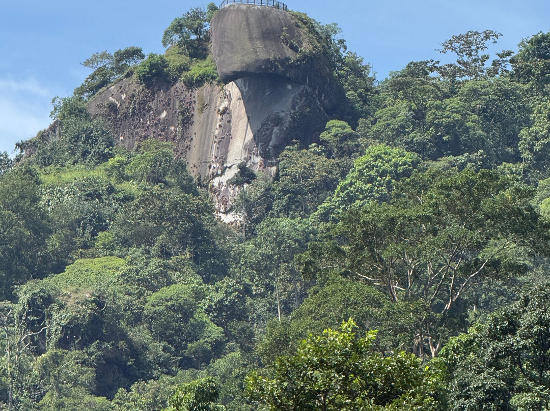 Nativo Tours-Tapachula必去景点
