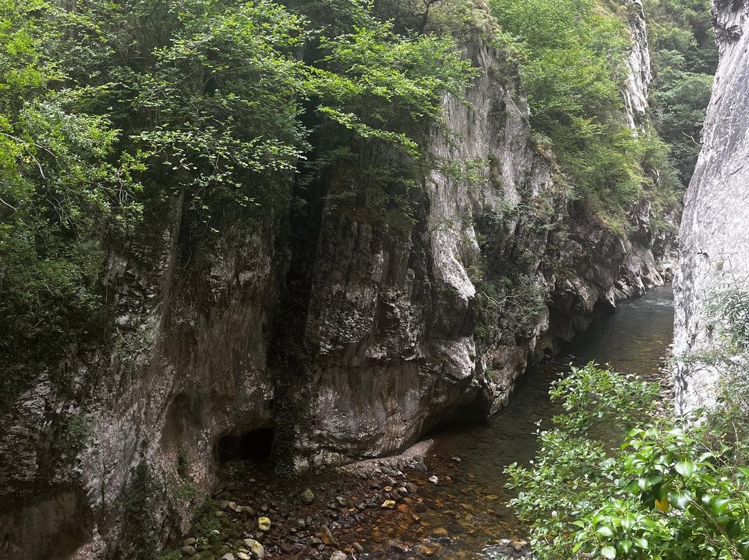 Senda Del Oso Experience - Teverastur-Teverga Municipality必去景点