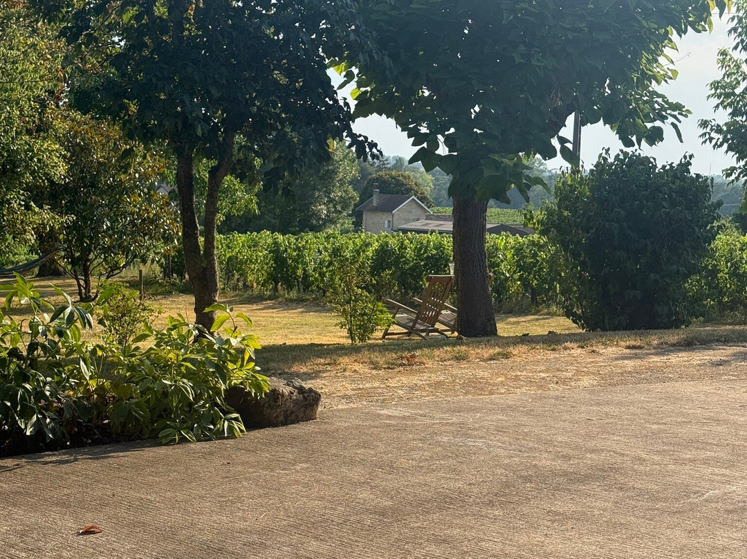 Clos de la Barbanne主图