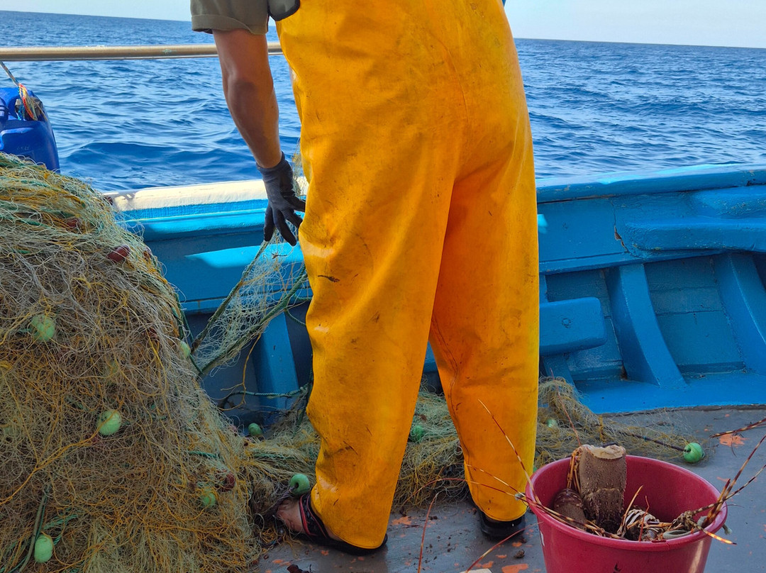 Fishing Tourism Kefalonia Michalis-Svoronata必去景点
