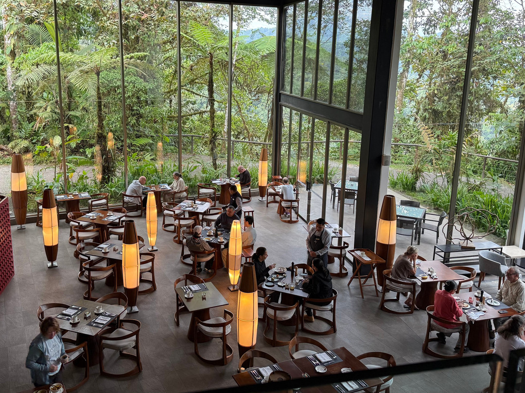 玛萨皮山林小屋主图