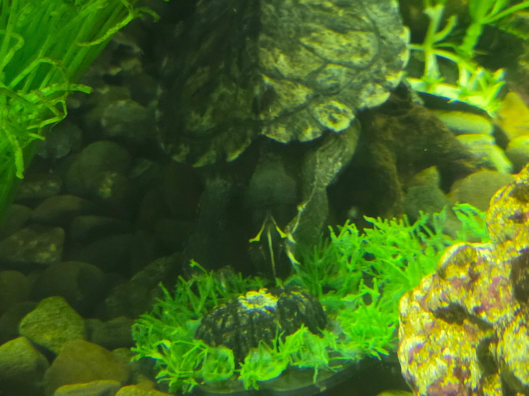 Exploris Aquarium-Portaferry必去景点