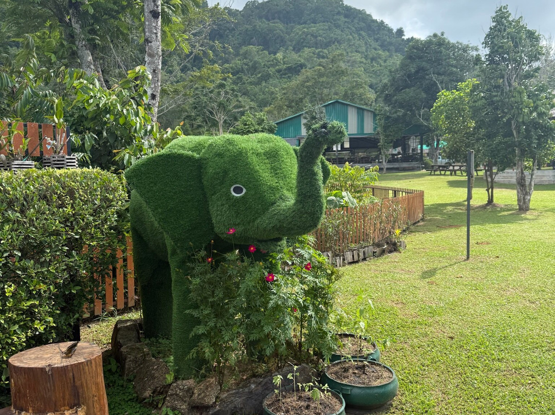 Phuket Elephant Nature Reserve-他朗必去景点