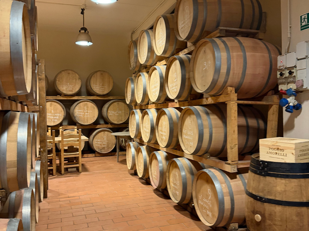 Tuscany Tours by Golden Travel-泰拉诺瓦布拉乔利尼必去景点
