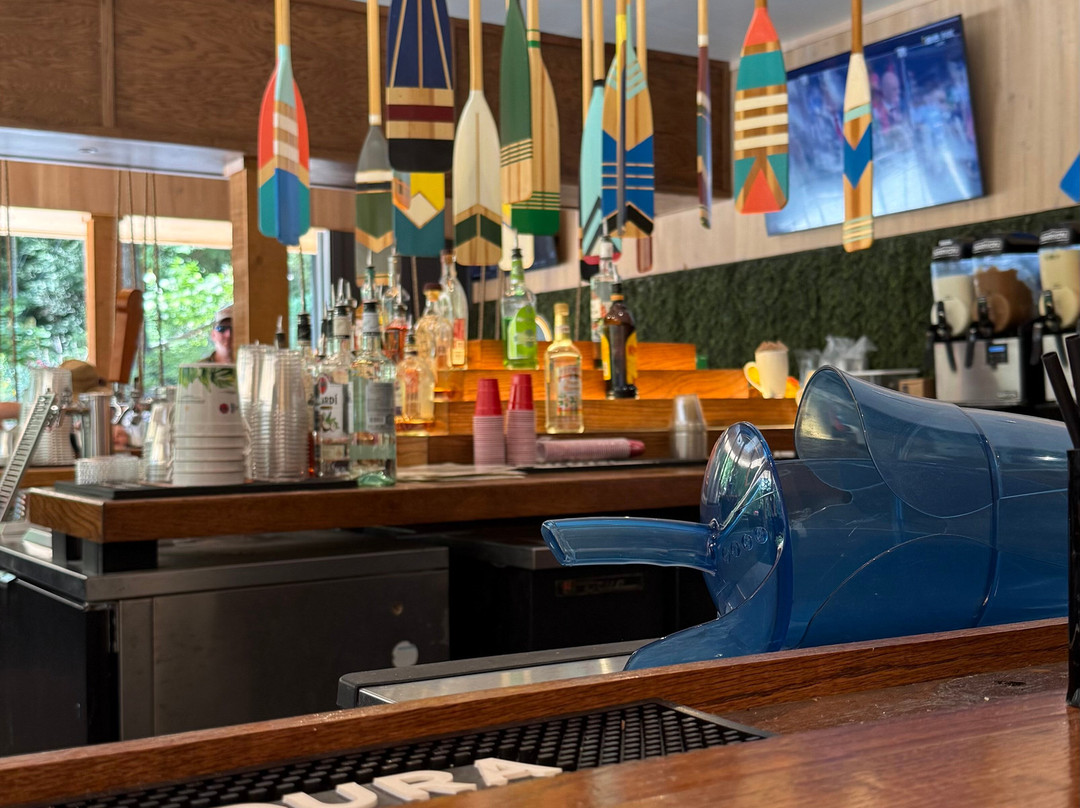 The Swing Bar