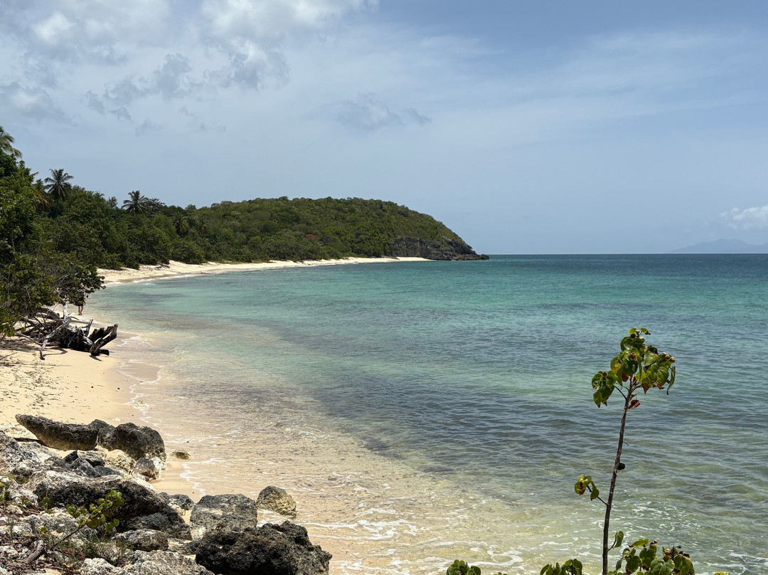 Mosquito Beach-Saint Louis必去景点