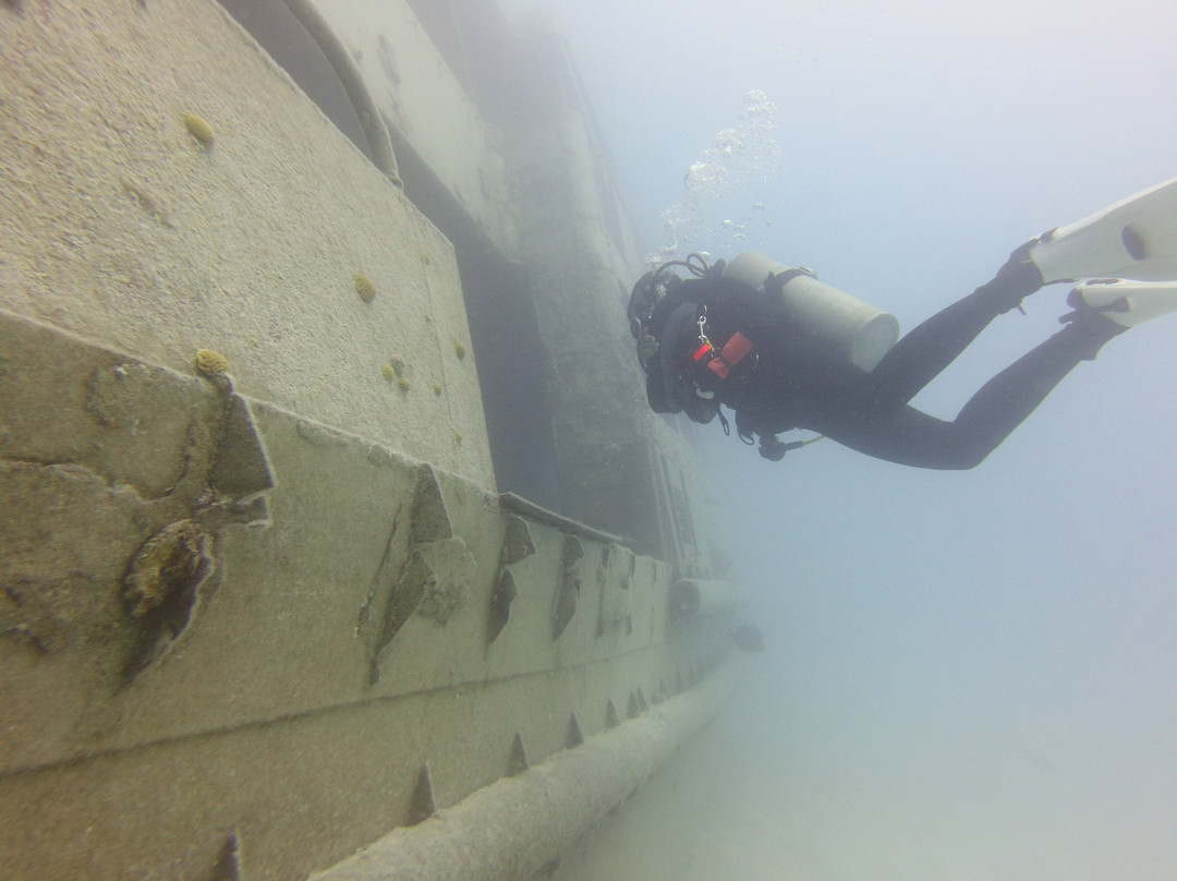 Blue Water Divers & Watersports-Sandys Parish必去景点
