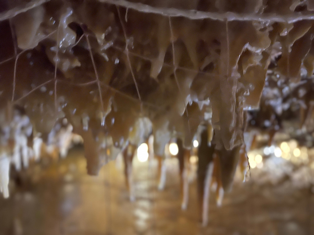 Les Eyzies-de-Tayac-Sireuil旅游景点-Grotte du Grand Roc