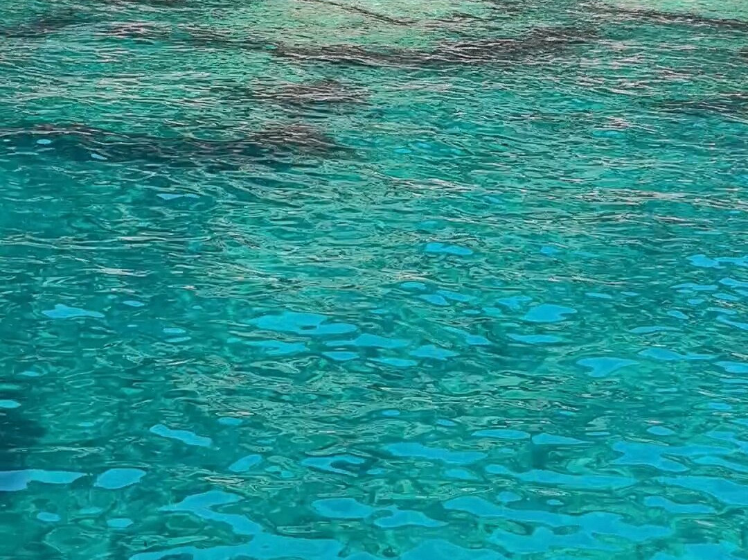 Mahi Mahi Travel-契拉勒必去景点