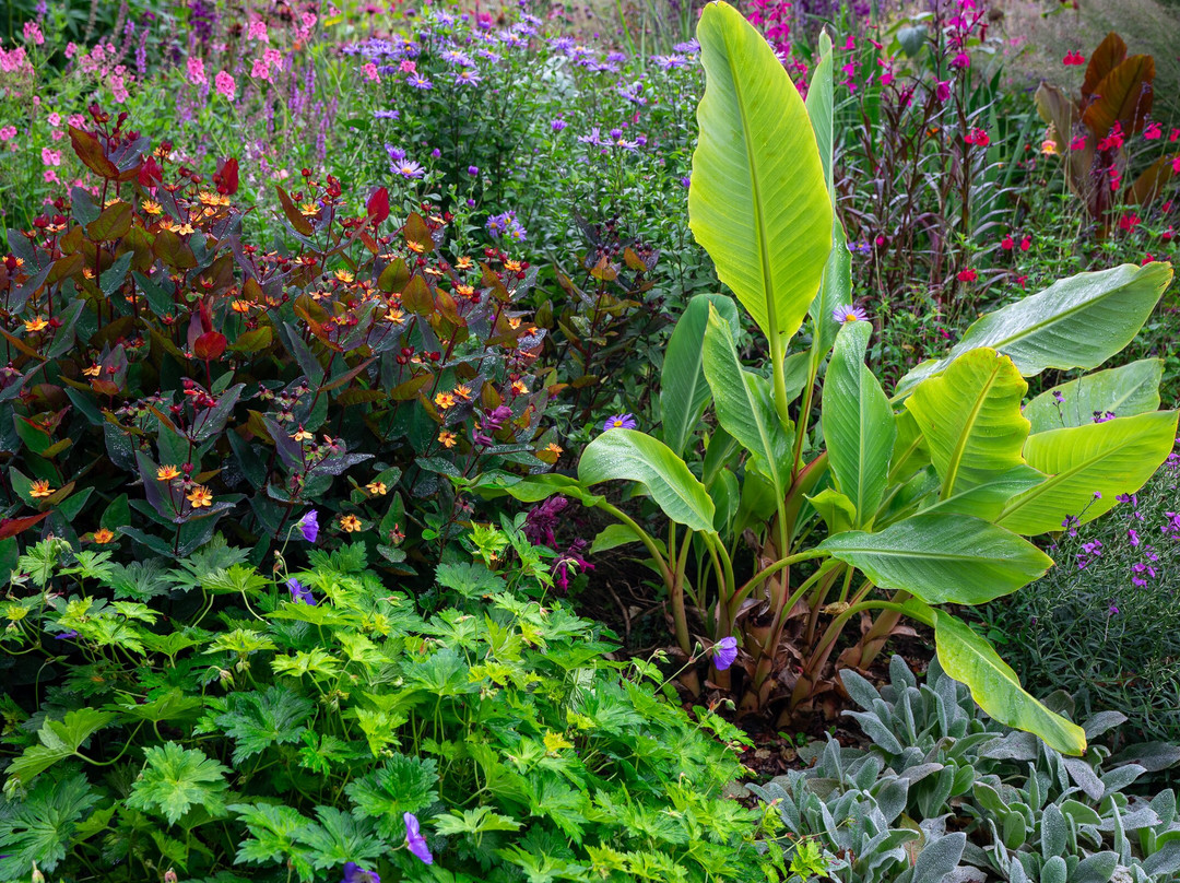 Patthana's Garden-Kiltegan必去景点