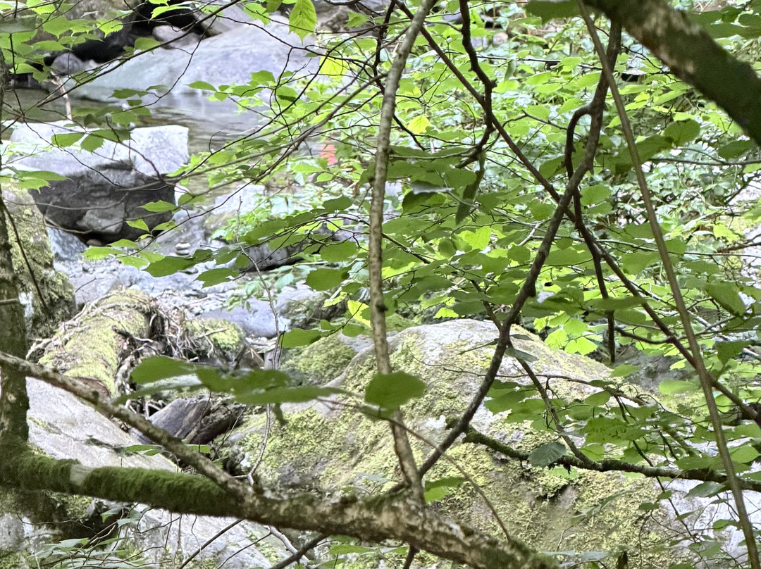 Stock Ghyll Force-安布赛德必去景点