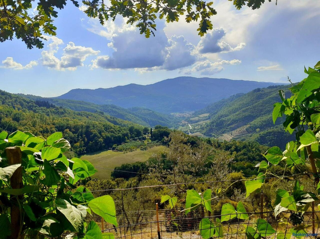 La Felce e il Mirtillo
