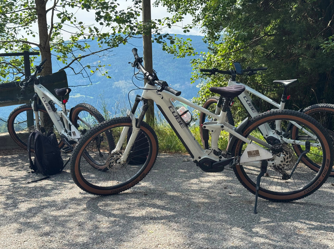 Terentnerhof  S Active & Lifestyle Hotel主图