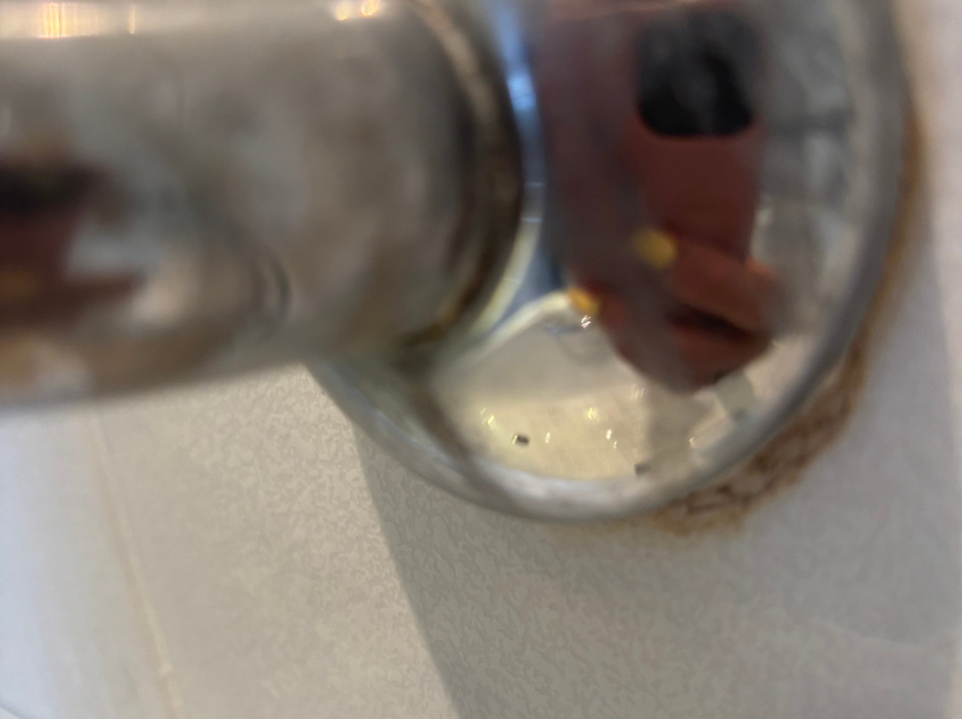 麦克唐纳康普利特安格勒酒店主图