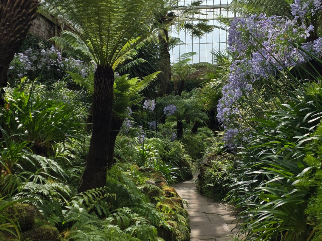 Tatton Park-纳茨福德必去景点